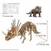 Beyond280 Dinosaur Puzzle Tyrannosaurus Triceratops Deinonychus Brontosaurus Educational Toy 3D Wooden Assembly Puzzles Children Learning Toy Adult Puzzle | Pack of 4 B07ML54B6F